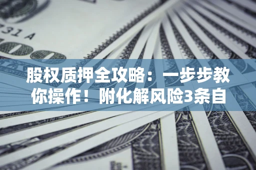 北京股权质押全攻略：一步步教你操作！附化解风险3条自救法则