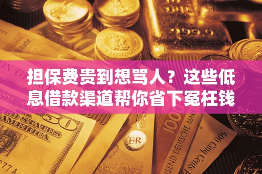 北京担保费贵到想骂人？这些低息借款渠道帮你省下冤枉钱