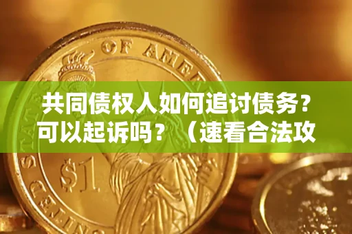 北京共同债权人如何追讨债务？可以起诉吗？（速看合法攻略）