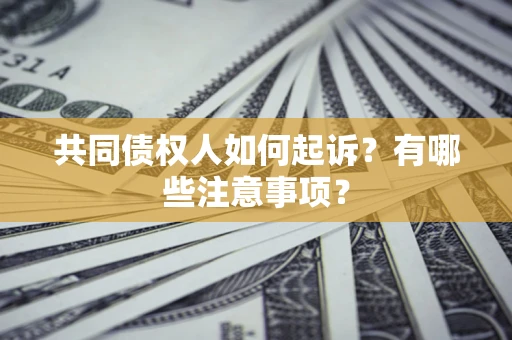 北京共同债权人如何起诉？有哪些注意事项？